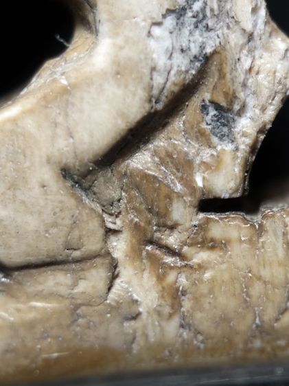 คลาสสิคครับแต่หางชำรุดตามภาพครับ รูปที่ 16