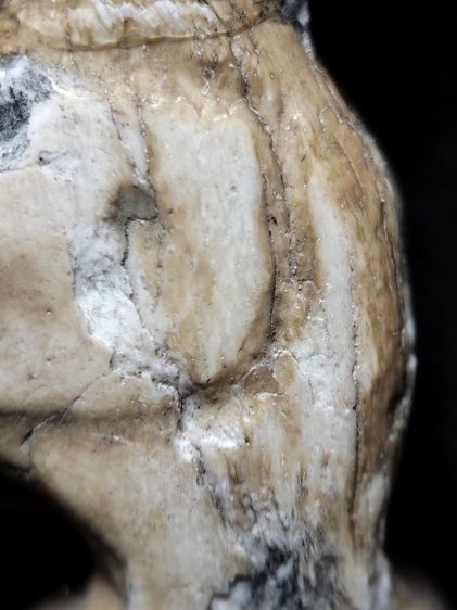 คลาสสิคครับแต่หางชำรุดตามภาพครับ รูปที่ 17