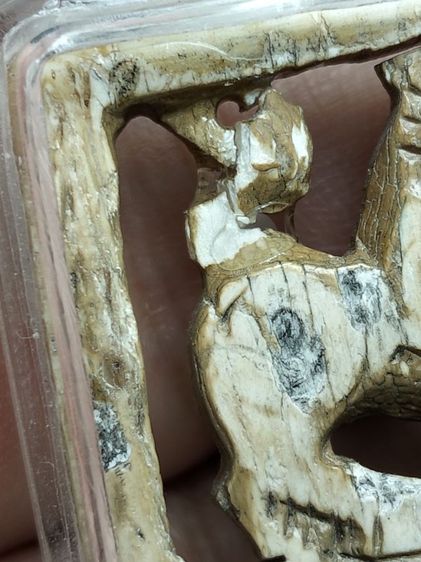 คลาสสิคครับแต่หางชำรุดตามภาพครับ รูปที่ 4