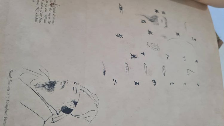 หนังสือภาพเขียนต้นฉบับศิลปะจีน ศาสตราจารย์ ฉาง ต้าเฉียน  รูปที่ 9