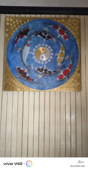 ปลาคาร์ฟ