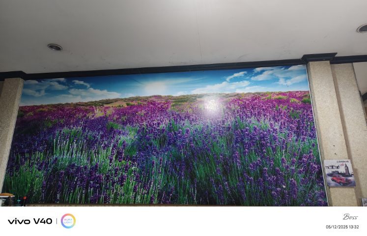 ของแต่งบ้าน