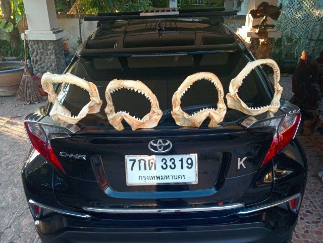 แท้เก่าโบราณขนาดใหญ่สภาพเยี่ยมครบทุกชิ้น รูปที่ 17