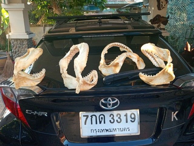 แท้เก่าโบราณขนาดใหญ่สภาพเยี่ยมครบทุกชิ้น รูปที่ 15