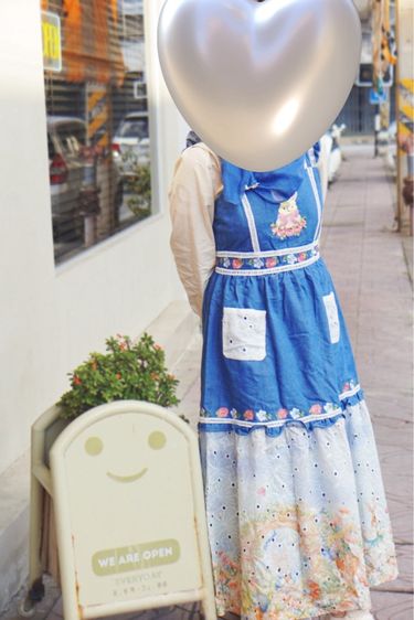 เอี๊ยมกระโปรง blt รูปที่ 2