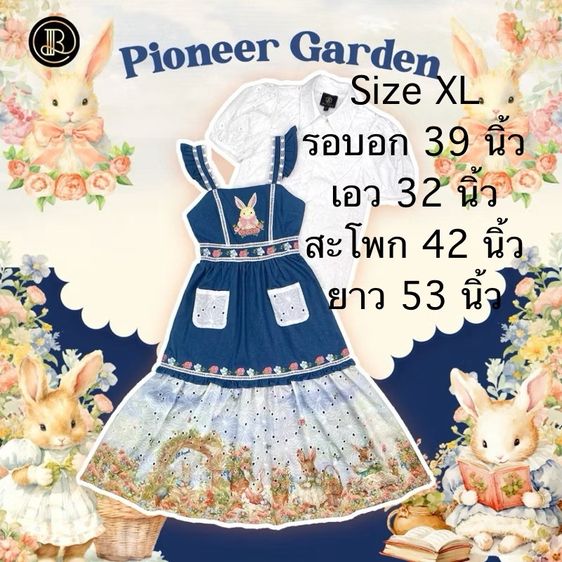 เอี๊ยมกระโปรง blt