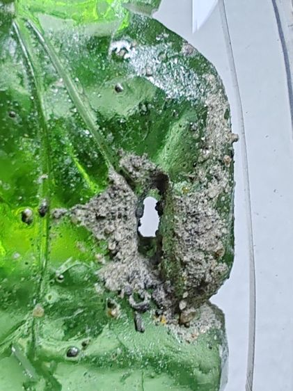 พระแก้วกรุฮอด​ หินจุยเจียสีเขียวพร้อมกรอบอย่างดี​ ขนาด​ 2.5​ X​ 5​ ซ.ม. รูปที่ 8