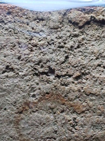 พระประธานสุโขทัย​ วัดพระศรีรัตนมหาธาตุ​ หรือวัดพระปรางค์​ อุทยานประวัติศาสตร์ศรีสัชนาลัย​ สุโขทัย​ สวยและหายากเลี่ยมพร้อมใช้   รูปที่ 5