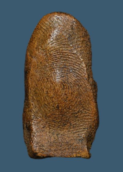 พระรอดลำพูน รูปที่ 2