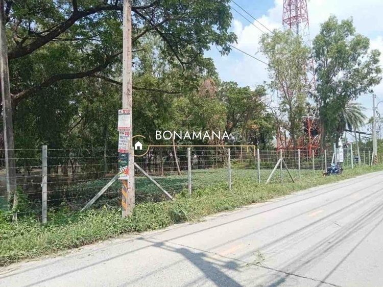 ไม่ใช่ ขาย เช่า ที่ดิน 4 ไร่ รังสิต คลอง 3 (อ.คลองหลวง) รูปที่ 2