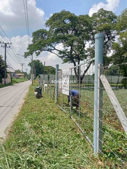 ไม่ใช่ ขาย เช่า ที่ดิน 4 ไร่ รังสิต คลอง 3 (อ.คลองหลวง) รูปที่ 4
