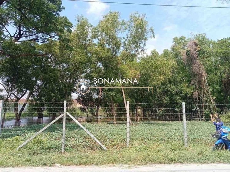 ขาย เช่า ที่ดิน 4 ไร่ รังสิต คลอง 3 (อ.คลองหลวง)