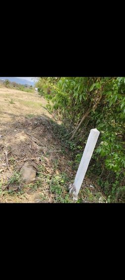 ขายที่โฉนดครึ่งไร่ริมแม่น้ำวังราคาถูก 1,000,000 บาท ใกล้ติดวิทยาลัยอาชีวศึกษาเถินเทคโนโลยี ลำปาง แถมที่ดินโฉนด อ.แม่ทะ ลำปาง ฟรีอีก 1 ไร่
 รูปที่ 9