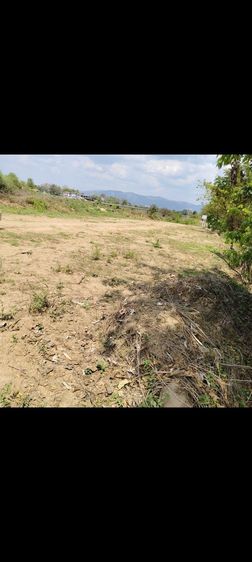 ขายที่โฉนดครึ่งไร่ริมแม่น้ำวังราคาถูก 1,000,000 บาท ใกล้ติดวิทยาลัยอาชีวศึกษาเถินเทคโนโลยี ลำปาง แถมที่ดินโฉนด อ.แม่ทะ ลำปาง ฟรีอีก 1 ไร่
 รูปที่ 10