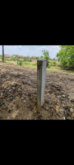 ขายที่โฉนดครึ่งไร่ริมแม่น้ำวังราคาถูก 1,000,000 บาท ใกล้ติดวิทยาลัยอาชีวศึกษาเถินเทคโนโลยี ลำปาง แถมที่ดินโฉนด อ.แม่ทะ ลำปาง ฟรีอีก 1 ไร่
 รูปที่ 17