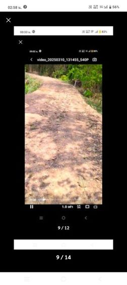 ขายที่โฉนดครึ่งไร่ริมแม่น้ำวังราคาถูก 1,000,000 บาท ใกล้ติดวิทยาลัยอาชีวศึกษาเถินเทคโนโลยี ลำปาง แถมที่ดินโฉนด อ.แม่ทะ ลำปาง ฟรีอีก 1 ไร่
 รูปที่ 7