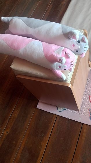 ตุ๊กตาของใหม่