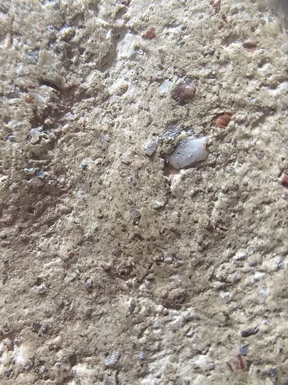 พระกรุท่าเรือกรุวัดหัวมีน่า รูปที่ 4