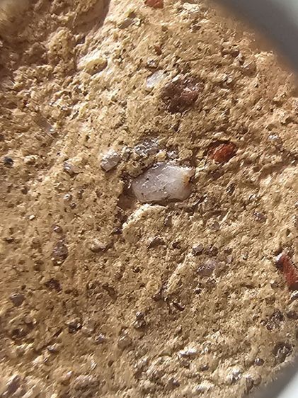 พระกรุท่าเรือกรุวัดหัวมีน่า