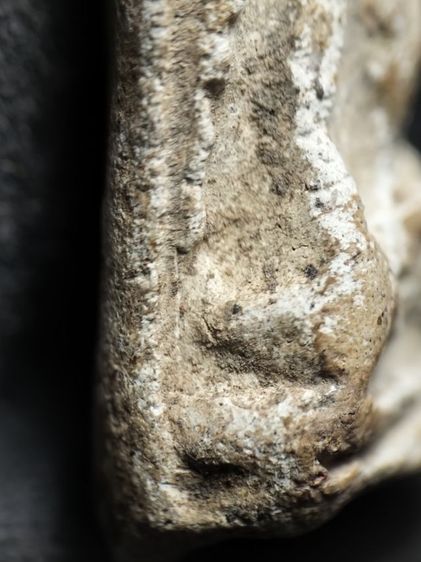 พระรอดลำพูนพิมพ์ต้อครับ รูปที่ 10