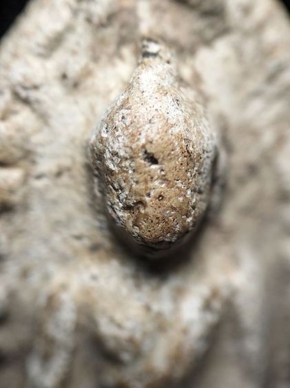 พระรอดลำพูนพิมพ์ต้อครับ รูปที่ 5