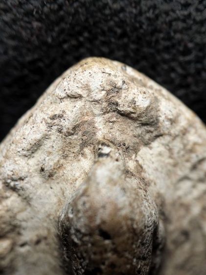 พระรอดลำพูนพิมพ์ต้อครับ รูปที่ 14