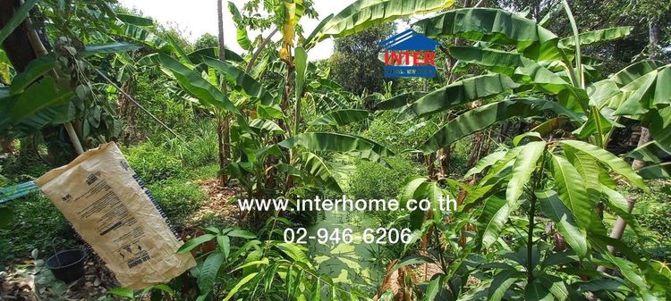 ที่ดินเปล่า 153.2 ตร.ว. ที่ดินเปล่า ซอยบางพรม48 (แจ่มศรี) ถนนราชพฤกษ์ ถนนพุทธมณฑลสาย1 ถนนพรานนก-กาญจนาภิเษก เขตตลิ่งชัน กรุงเทพมหานคร รูปที่ 2