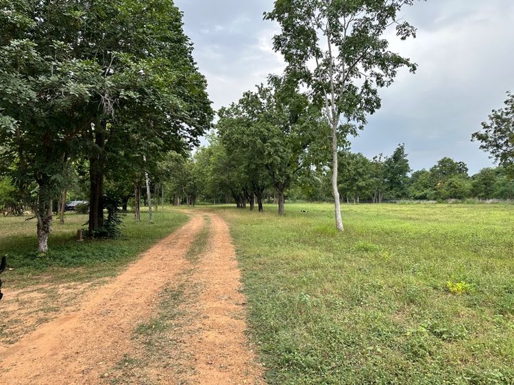 ไม่ใช่ ขายที่ดิน 12 ไร่ ทำเลทองกาญจนบุรี ด่วน