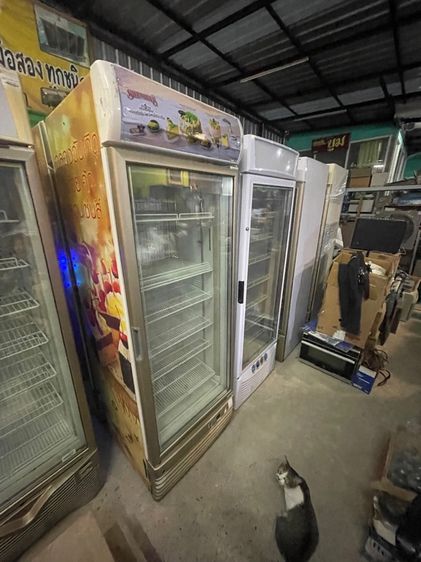 ตู้แช่แข็ง The Cool รูปที่ 7