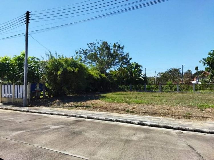 ขายที่ดิน 165 ตร.ว. ดอยสะเก็ด จ.เชียงใหม่ รูปที่ 2