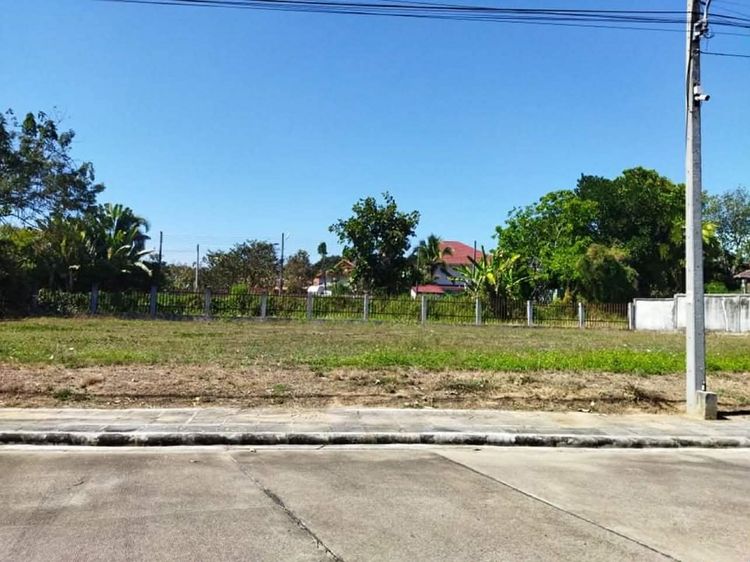 ขายที่ดิน 165 ตร.ว. ดอยสะเก็ด จ.เชียงใหม่ รูปที่ 3