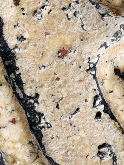 สวยมาก-องค์ครู ให้เช่า พระบ้าน  (1ในตำนาน) ชุดเบญจภาคี พระสมเด็จวัดระฆัง พิมพ์ใหญ่ คมชัด เนื้อสวย รูปที่ 2