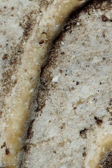 พระสมเด็จ รูปที่ 5