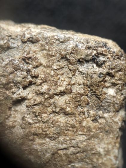 พระสมเด็จครับไม่ได้ล้างเลย รูปที่ 11