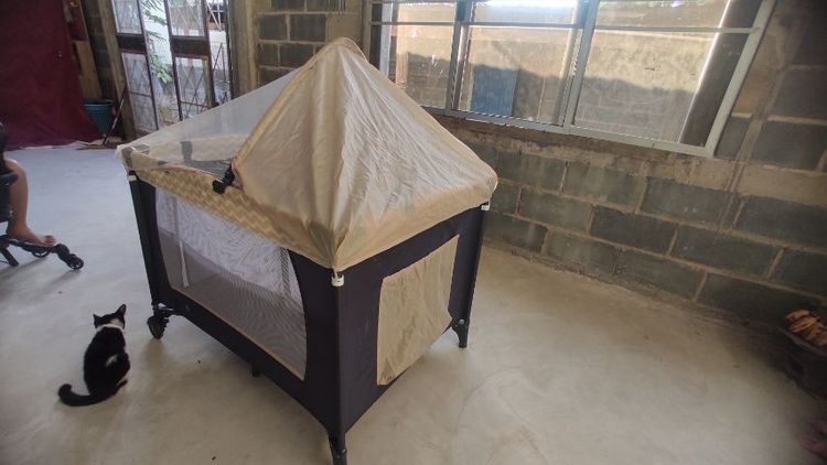 เปลเพน ส่งฟรี รูปที่ 13