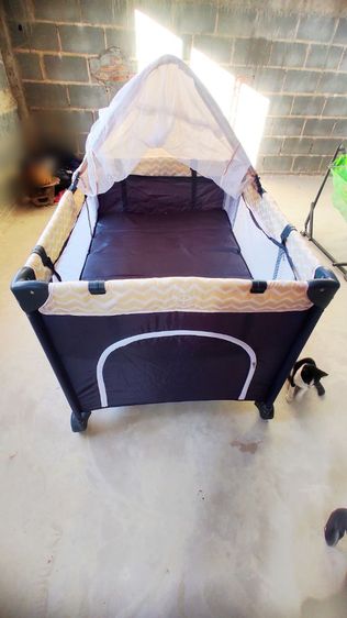 เปลเพน ส่งฟรี