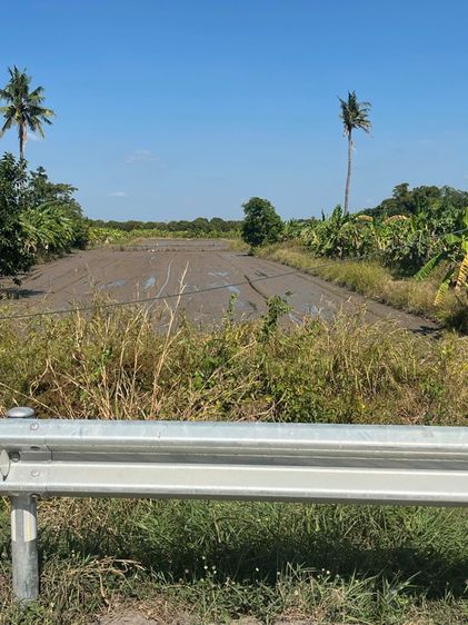 ไม่ใช่ ที่ดิน รูปที่ 4