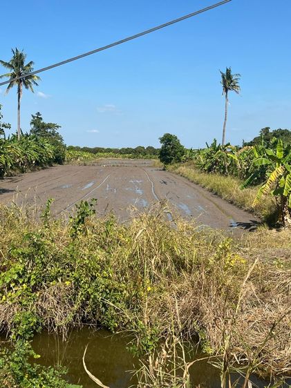 ไม่ใช่ ที่ดิน รูปที่ 2