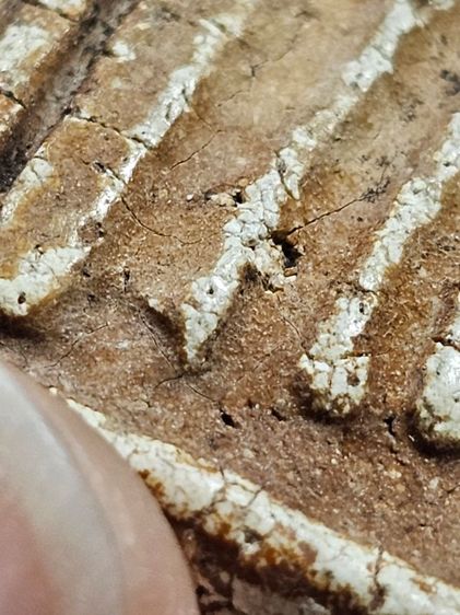 พระสมเด็จวัดระฆังลงลักน้ำเกลี้ยง รูปที่ 5