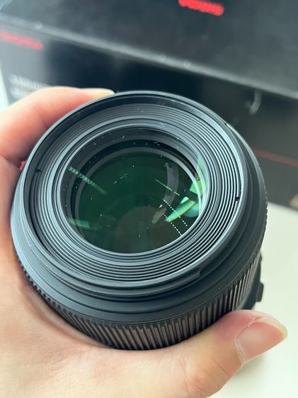 Sigma MACRO 105mm F2.8 EX DG OS HSM รูปที่ 8