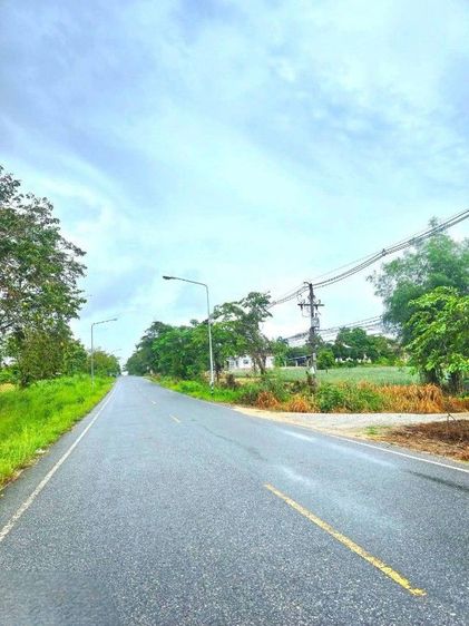 ใช่ ขายที่ดินสวย 25 ไร่เศษ อ.นิคมพ้ฒนา จ.ระยอง  ทำบ้านจัดสรรขาย ทำเลดีมาก รูปที่ 3