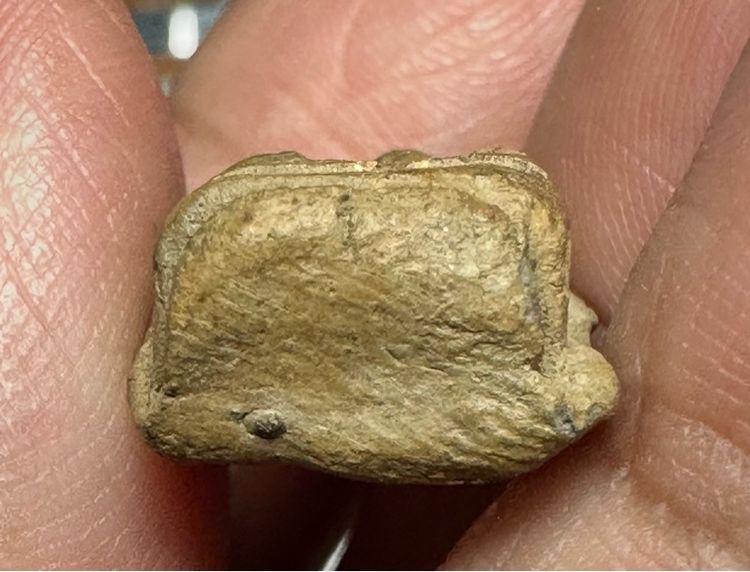 พระรอดลำพูน องค์ละ 1000 รูปที่ 6