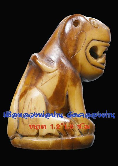 สวยสุด 🌟🌟🌟 เครื่องรางของขลัง 💡 เสือหลวงพ่อปาน วัดคลองด่าน ขนาด 1.2  คูณ 1.8 ซม. จารครบเต็มสูตร