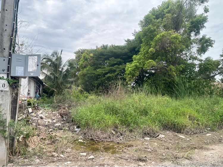 ที่ดิน กทม. ครึ่งไร่ คุ้มเกล้า 50 ลาดกระบัง รูปที่ 4