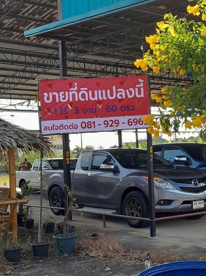 เจ้าของขายเอง รูปที่ 3