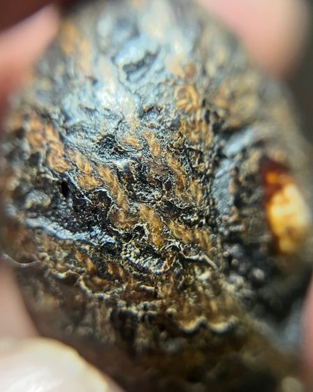 เบียร์แก้มันมันส์ ปรอทวิ่ง ไม่ทราบที่ (มีสินค้าหลายรายการกดเข้ามาดูในโปรไฟล์ได้เลยครับ) รูปที่ 2