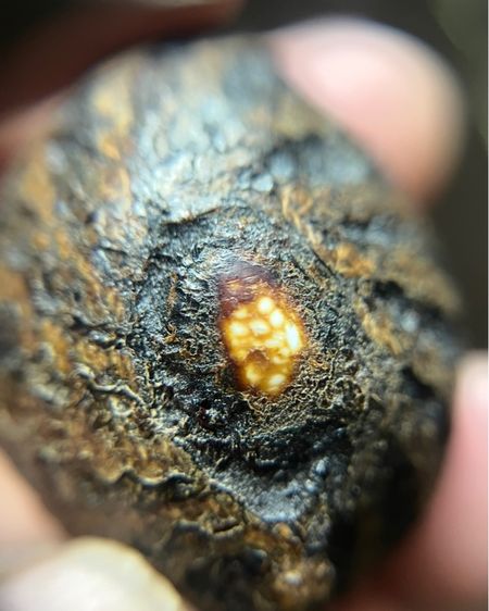 เบียร์แก้มันมันส์ ปรอทวิ่ง ไม่ทราบที่ (มีสินค้าหลายรายการกดเข้ามาดูในโปรไฟล์ได้เลยครับ)