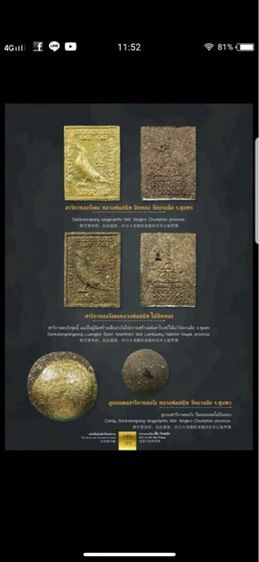 สาริกาหลงรัง รูปที่ 8