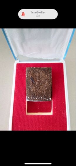 สาริกาหลงรัง รูปที่ 2