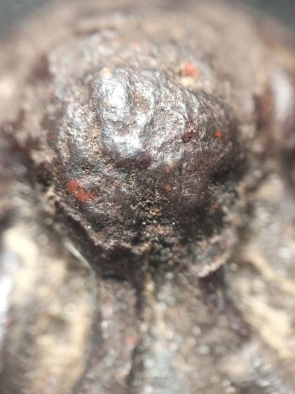 พระปิดตาครับ รูปที่ 11